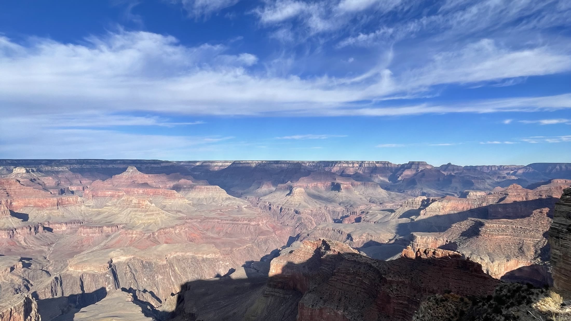 Overlooking the Grand Canyon